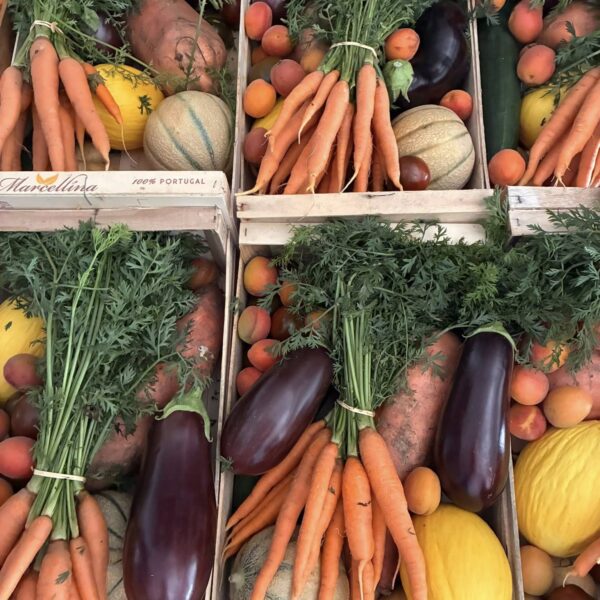 Cagette n1: 6 kg minimum de fruits et légumes mélangés de saison en circuit court